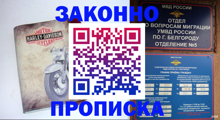 прописка для школы в Ельце
